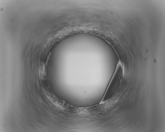 X0000059081492200510281710