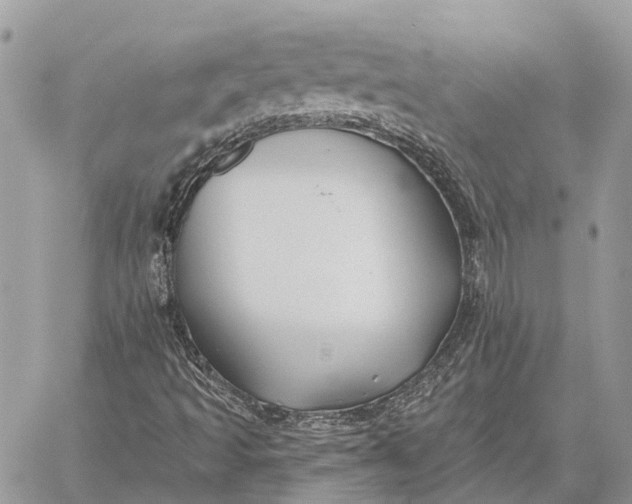 X0000059081493200510281710