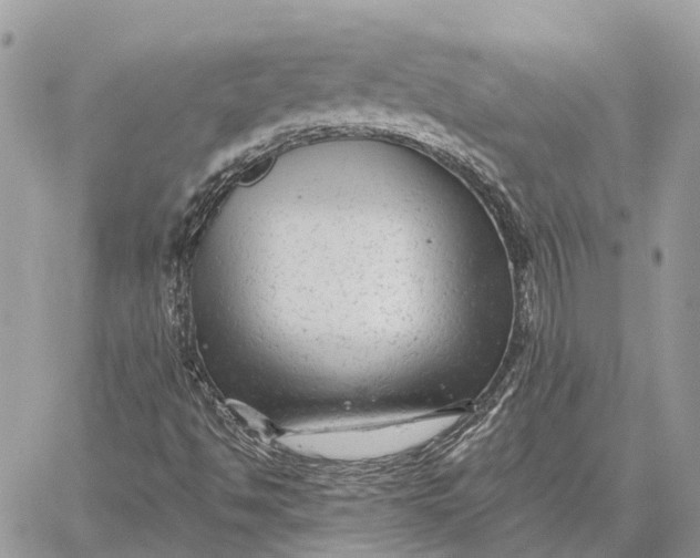 X0000059081494200510281710