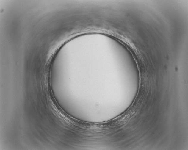 X0000059081504200510281710