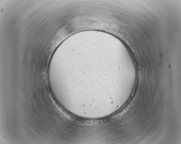 X0000059081521200510281710