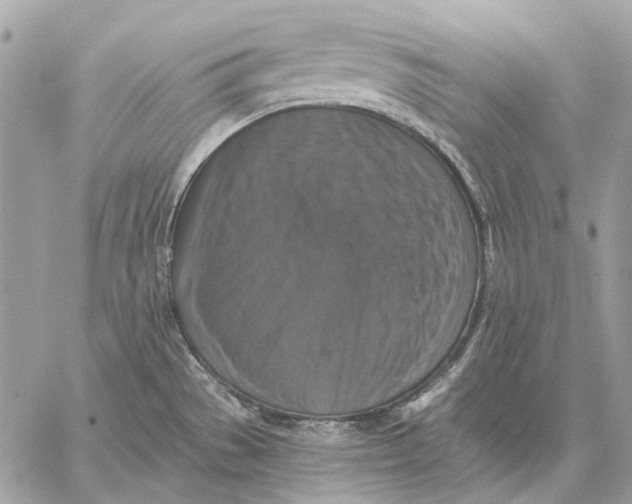 X0000059081529200510281710