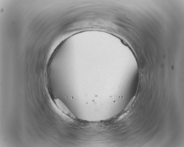 X0000059081531200510281710