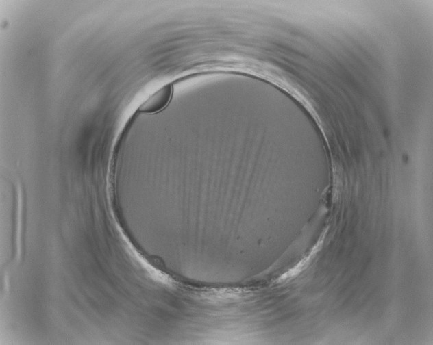 X0000059081533200510281710