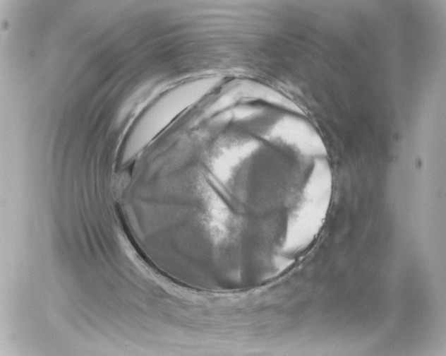 X0000059080002200511041833