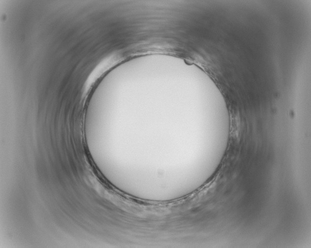 X0000059080004200511041833