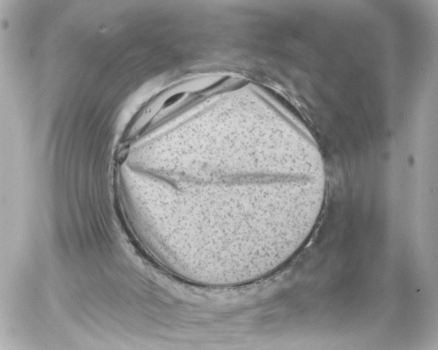 X0000059080006200511041833