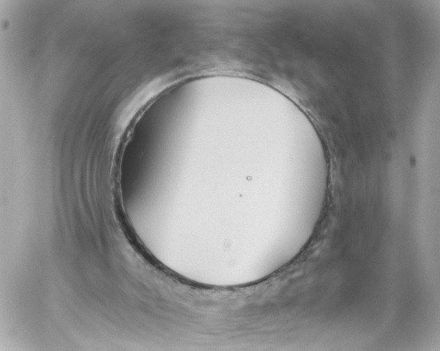 X0000059080007200511041833