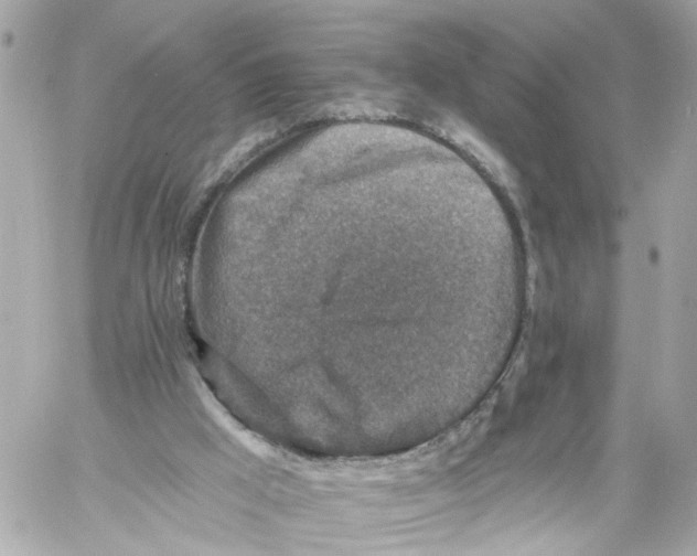 X0000059080009200511041833