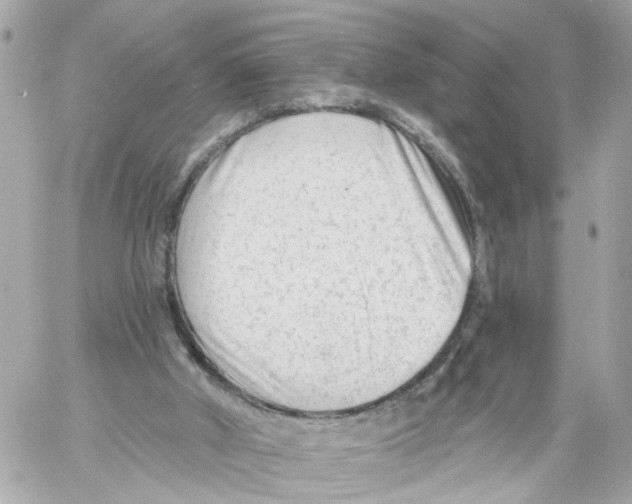 X0000059080010200511041833