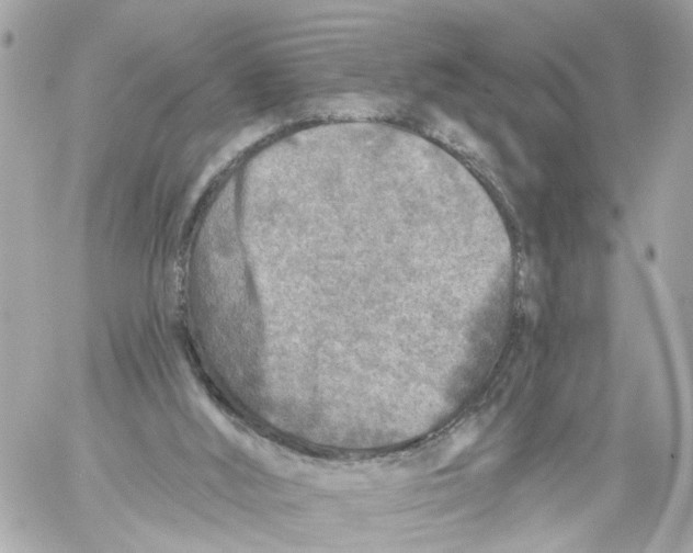 X0000059080012200511041833