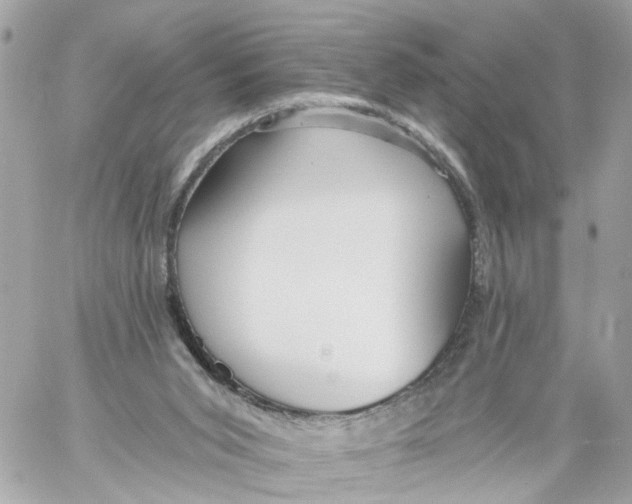 X0000059080015200511041833