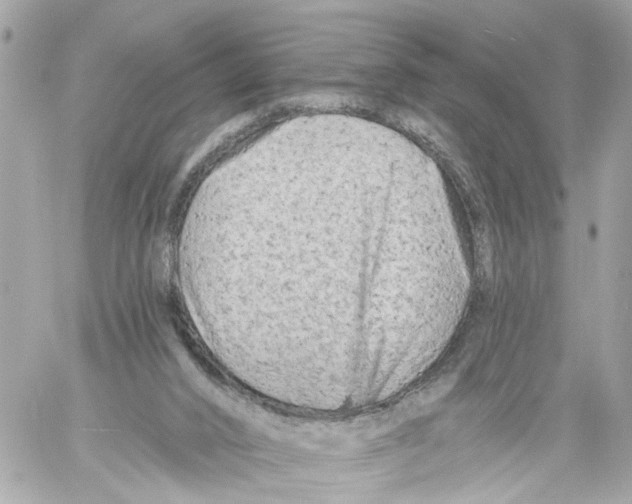 X0000059080016200511041833