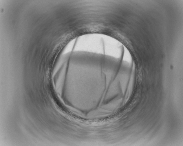 X0000059080018200511041833