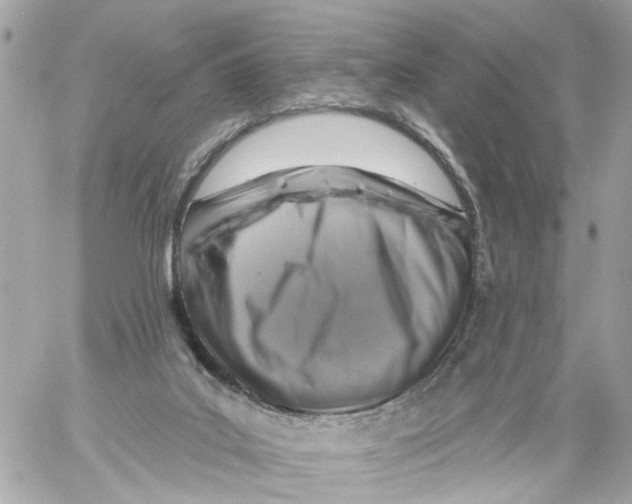 X0000059080019200511041833