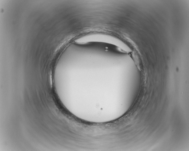 X0000059080020200511041833