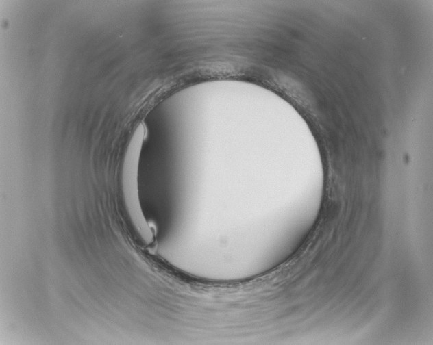 X0000059080021200511041833