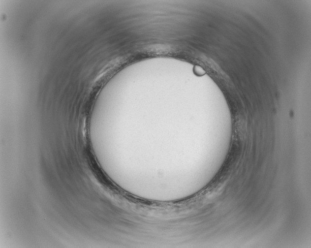 X0000059080024200511041833