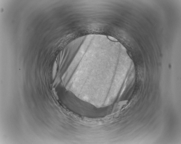 X0000059080029200511041833