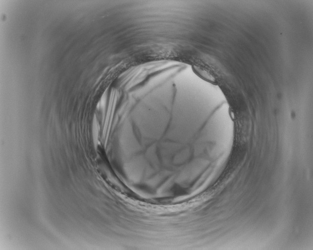 X0000059080035200511041833