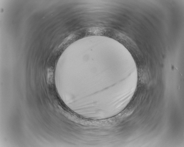 X0000059080036200511041833