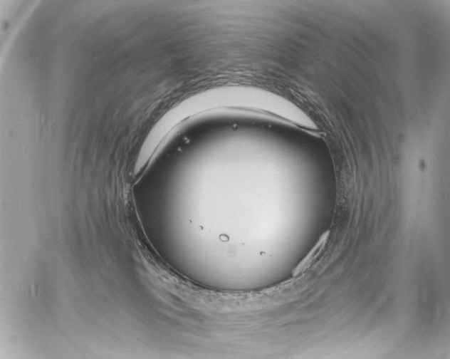 X0000059080037200511041833