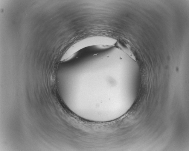 X0000059080040200511041833