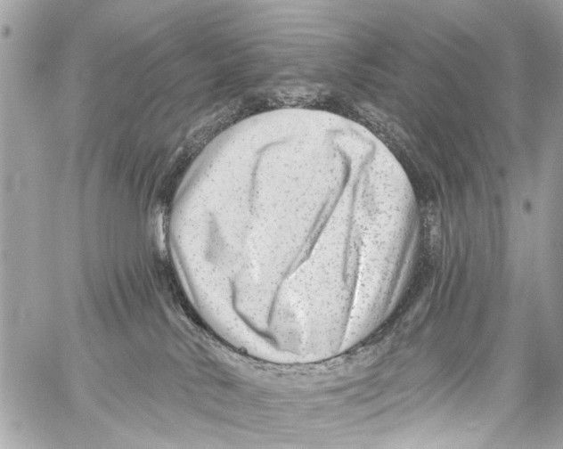 X0000059080042200511041833