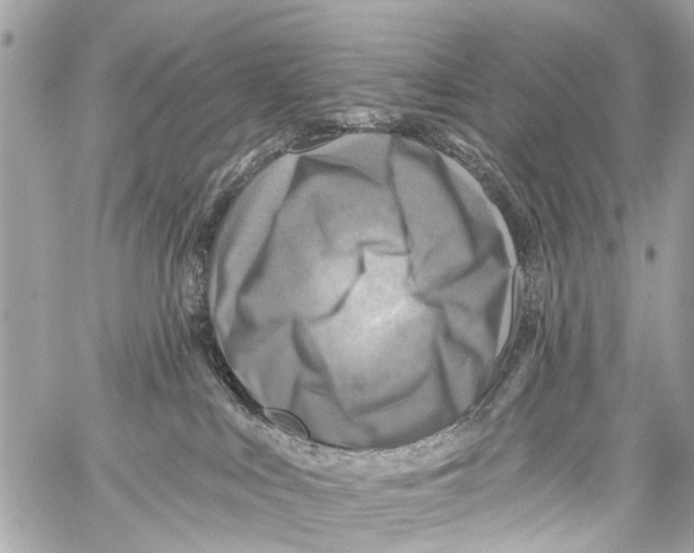 X0000059080043200511041833