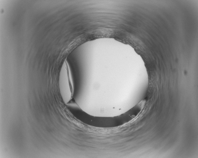 X0000059080045200511041833