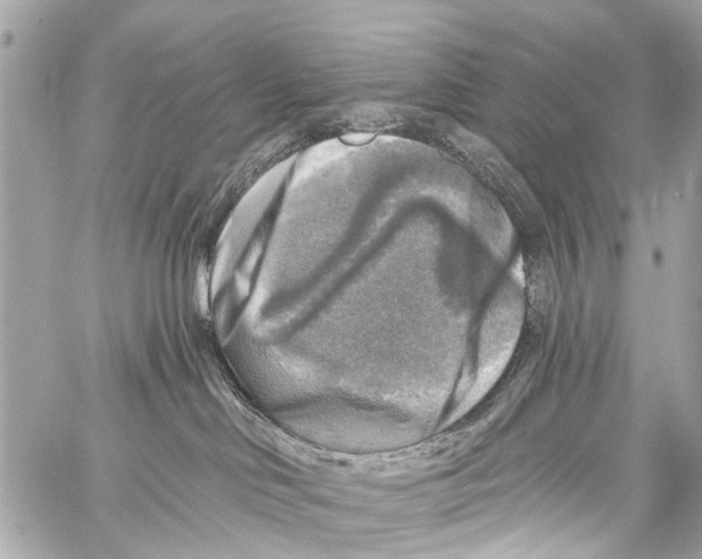 X0000059080046200511041833