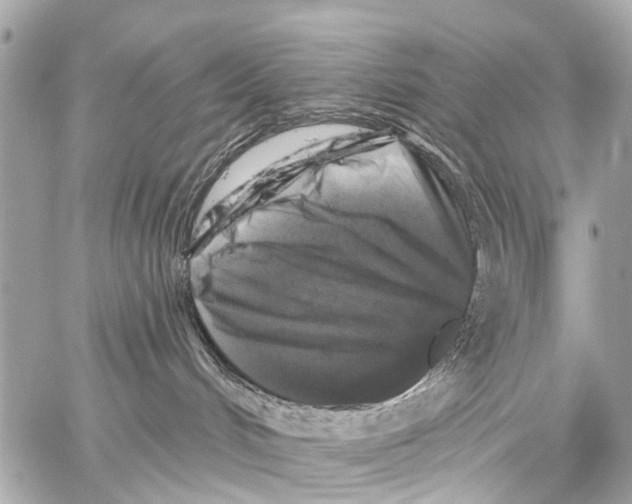 X0000059080048200511041832