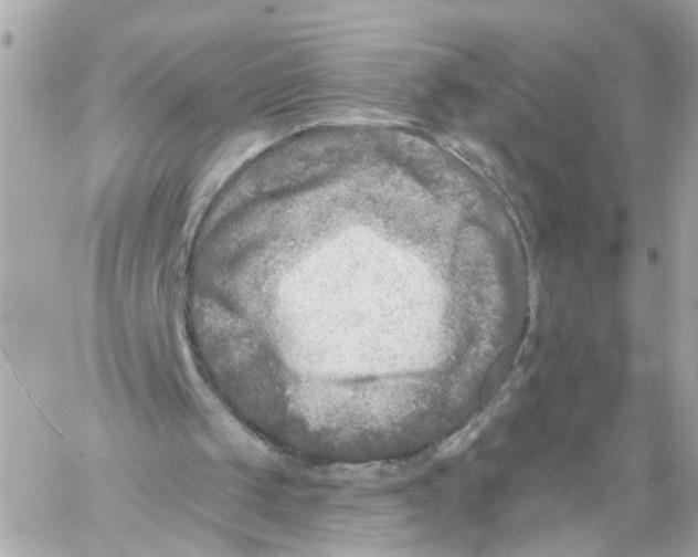 X0000059080049200511041832