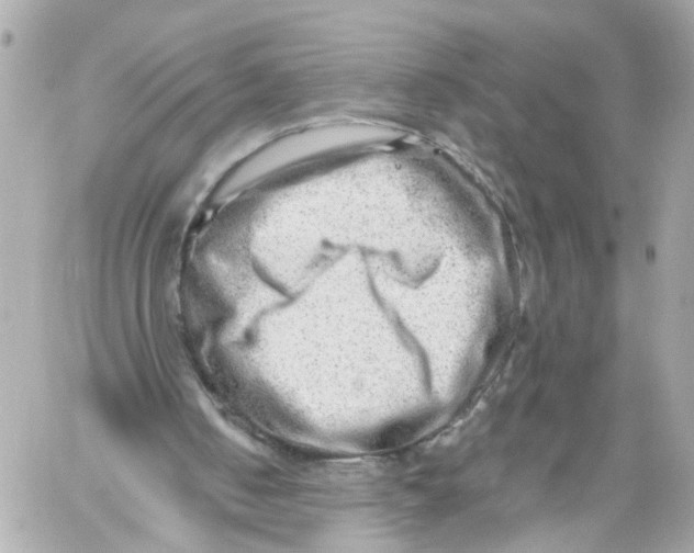 X0000059080050200511041832