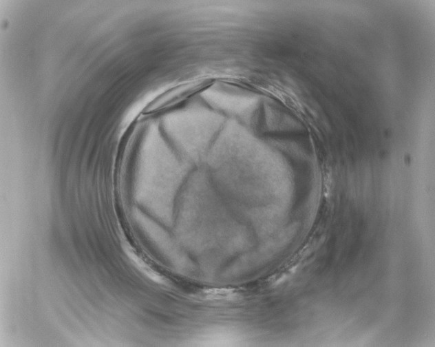 X0000059080052200511041832