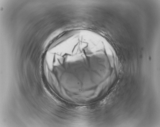 X0000059080054200511041832