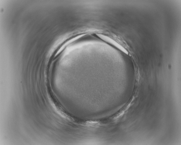 X0000059080055200511041832