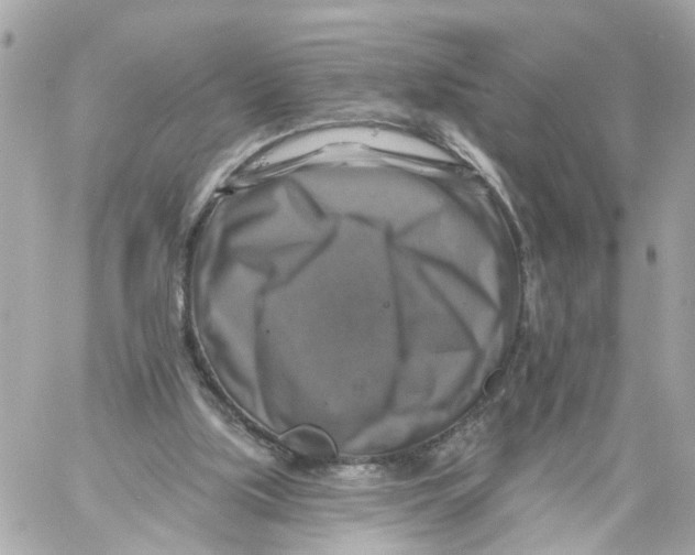 X0000059080059200511041832