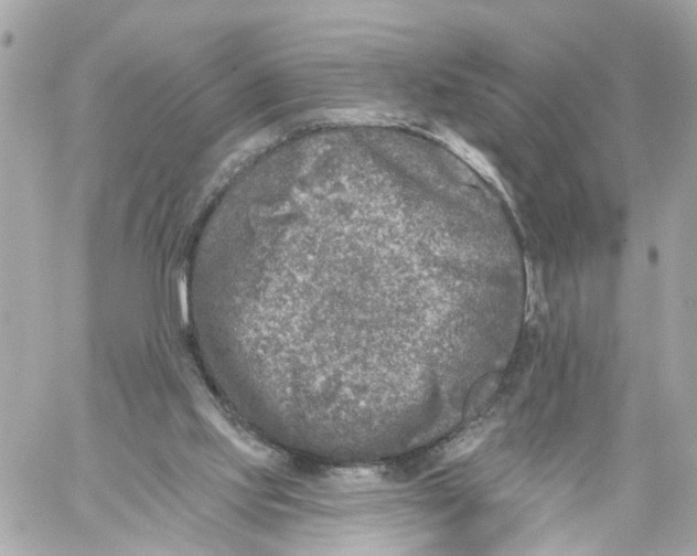 X0000059080061200511041832