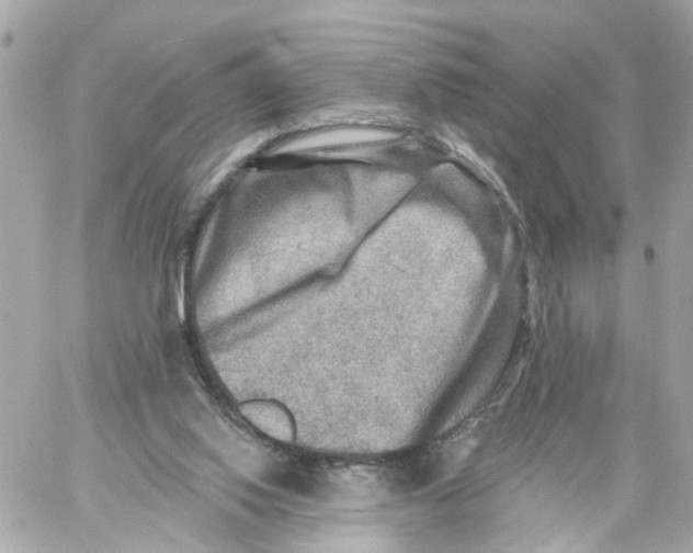 X0000059080062200511041832