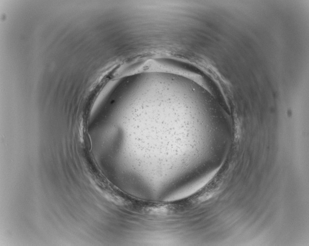 X0000059080068200511041832