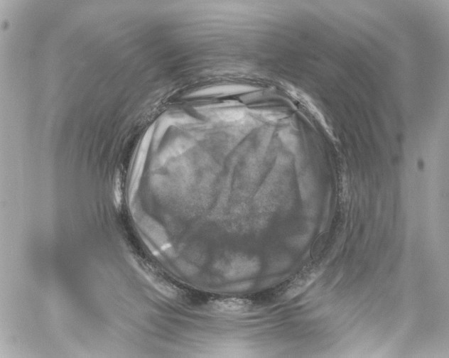 X0000059080069200511041832