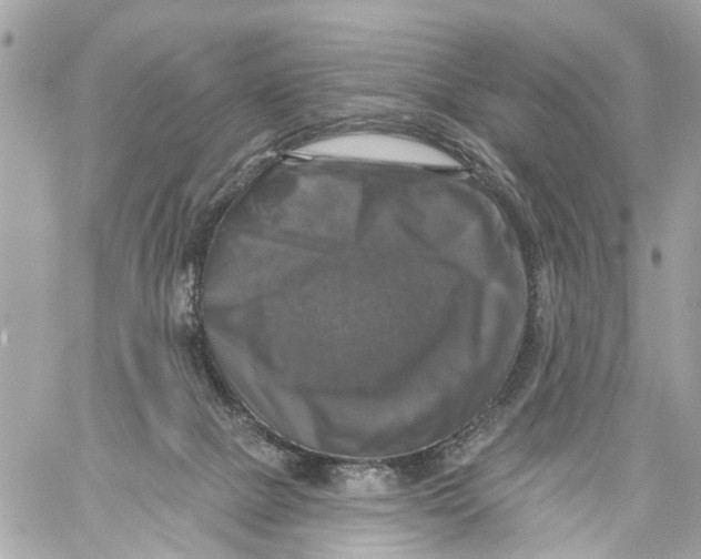 X0000059080073200511041832