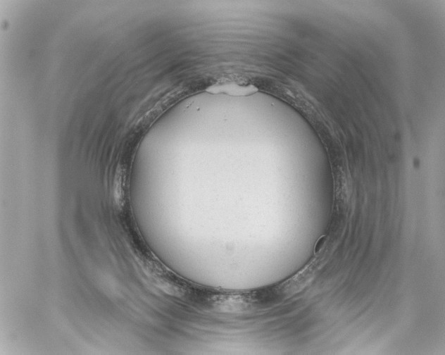 X0000059080074200511041832