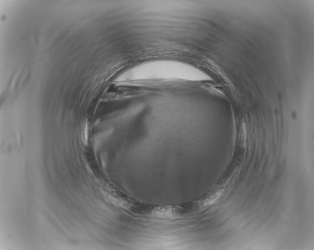 X0000059080076200511041832