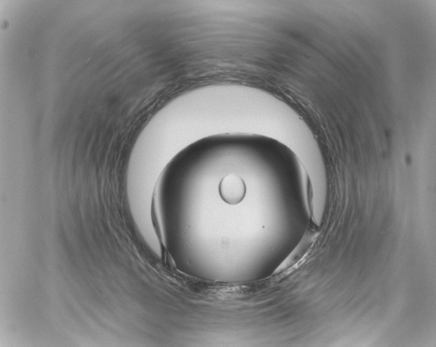 X0000059080078200511041832