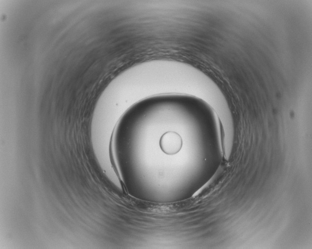 X0000059080079200511041832