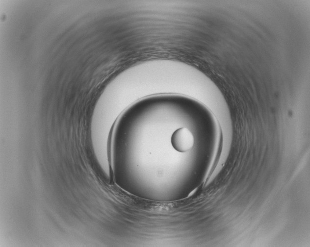 X0000059080080200511041832