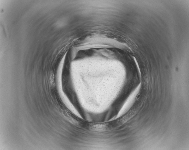 X0000059080081200511041832