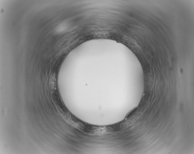 X0000059080083200511041832